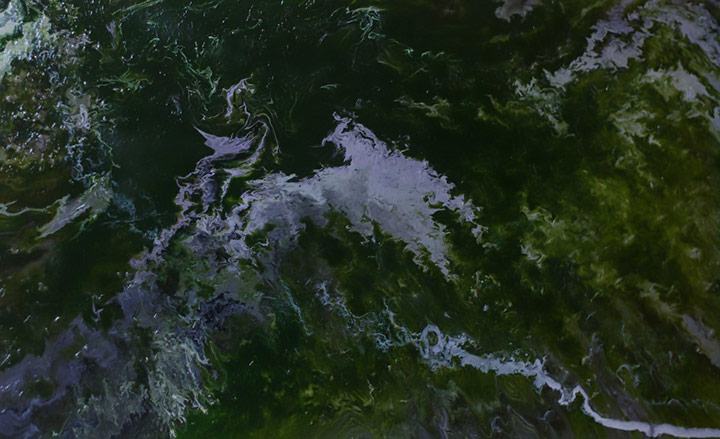 Artwork 'Fogginess on the Earth' Artwork 'Fogginess on the Earth'